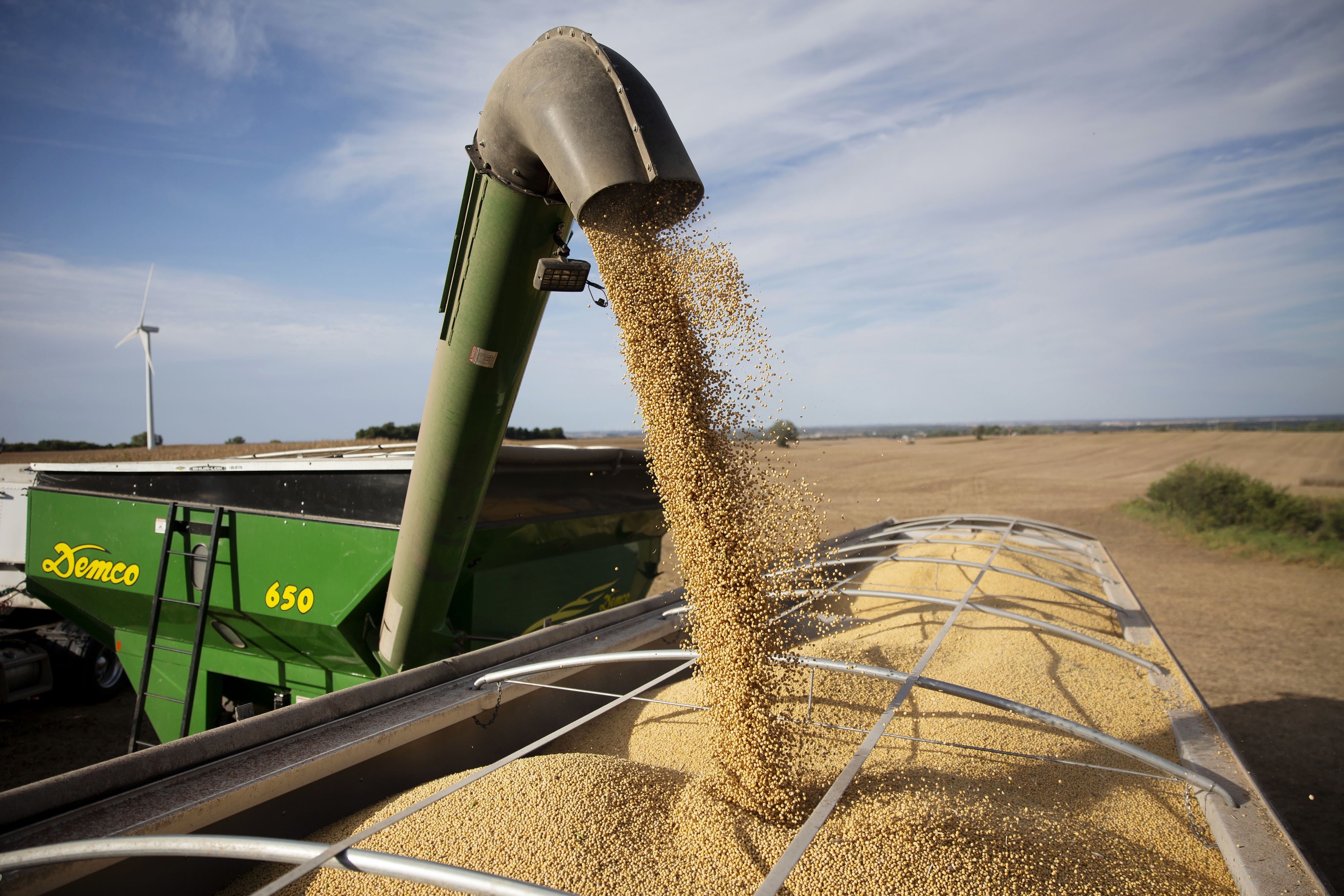 Is China buying American soybeans? Washington shutdown keeps traders  guessing | South China Morning Post