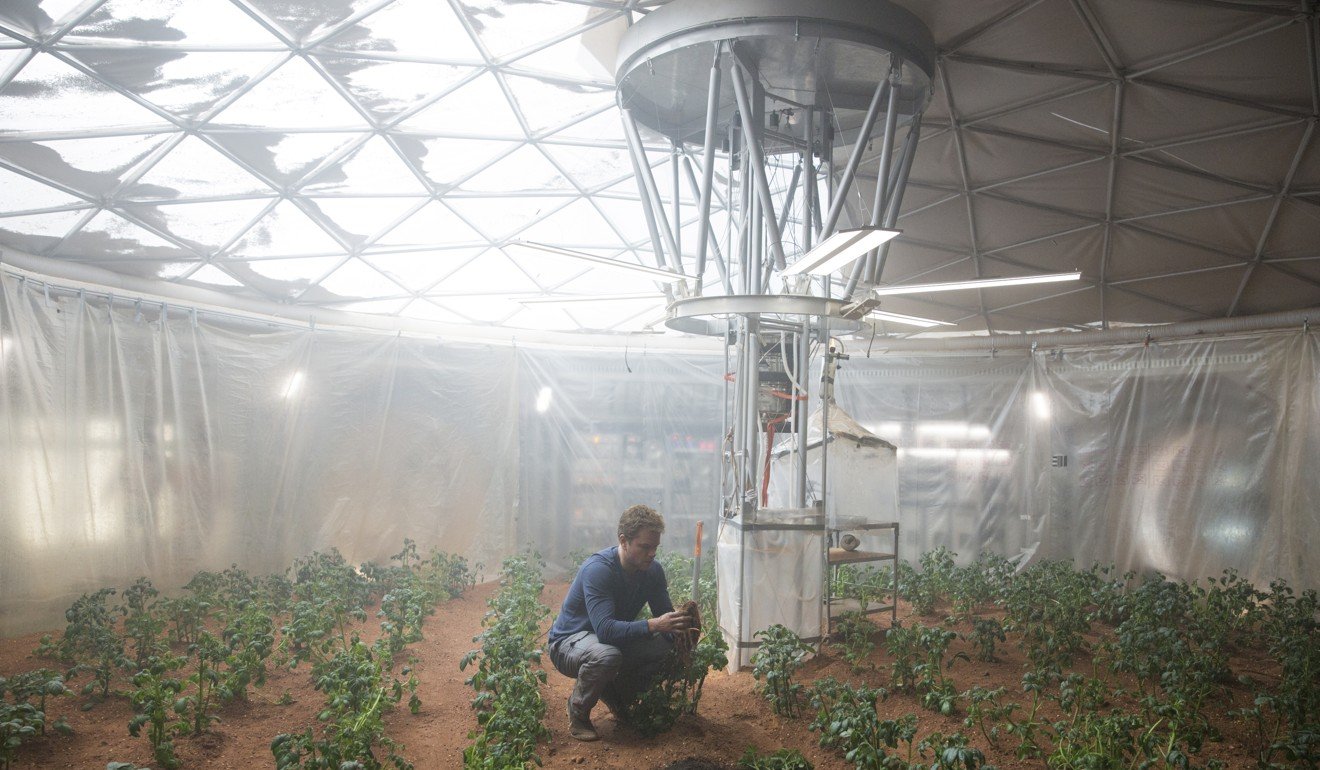 Can China grow a flower on the moon? The countdown begins | South China  Morning Post