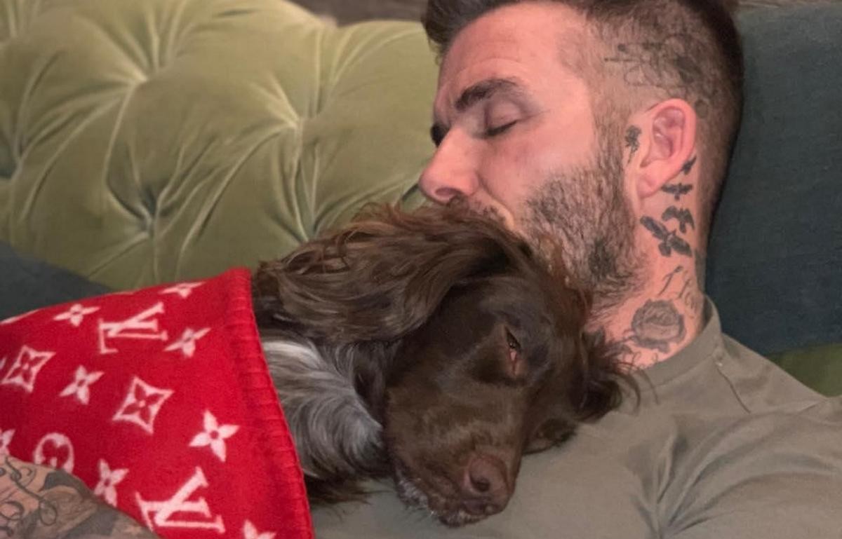 Power Couple David Beckham and Victoria Beckham Shells Out $37 an Hour on  Fitness of Dog Who Sleeps in $6,000 Designer Louis Vuitton Blanket -  EssentiallySports