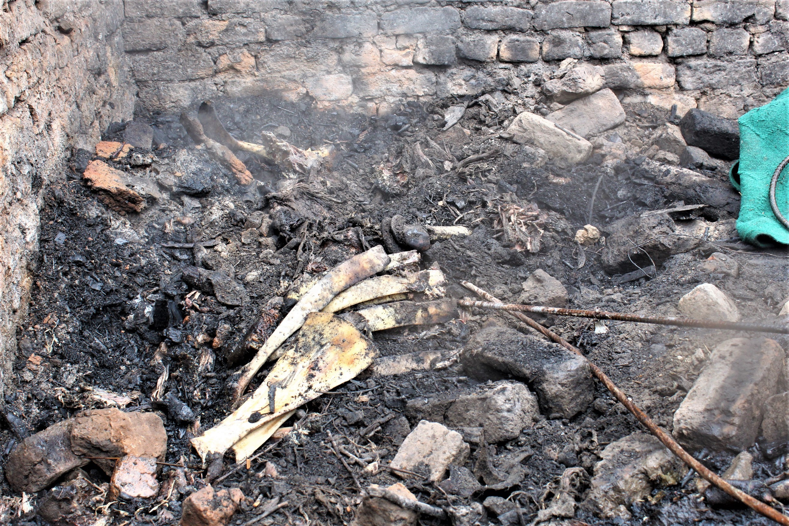 An animal’s carcass is unearthed following a gunfight in Kashmir. Photo: Saqib Mir