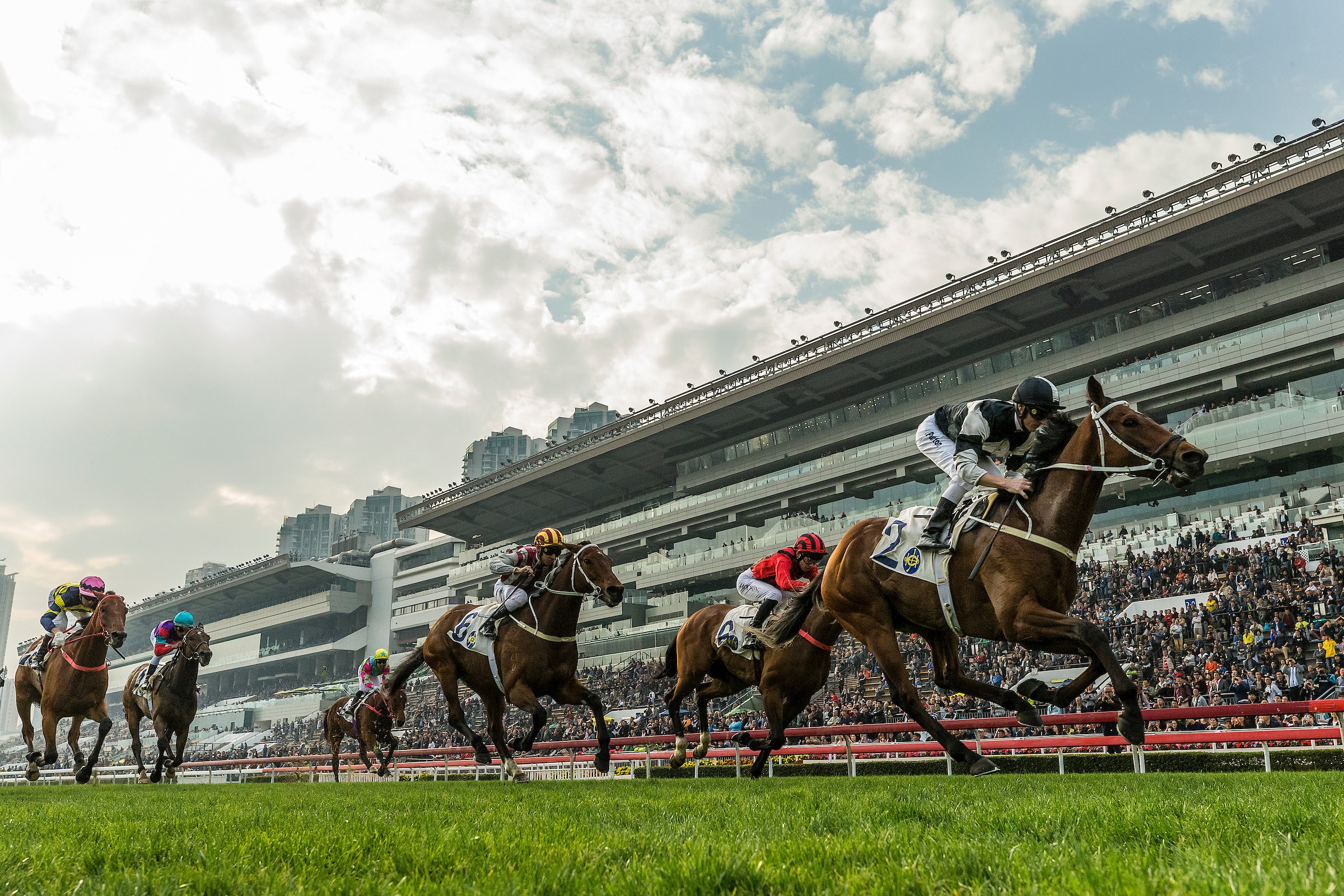 Exultant, pictured winning last month’s Centenary Vase at Sha Tin, is tipped to claim victory in Sunday’s Citi Hong Kong Gold Cup.