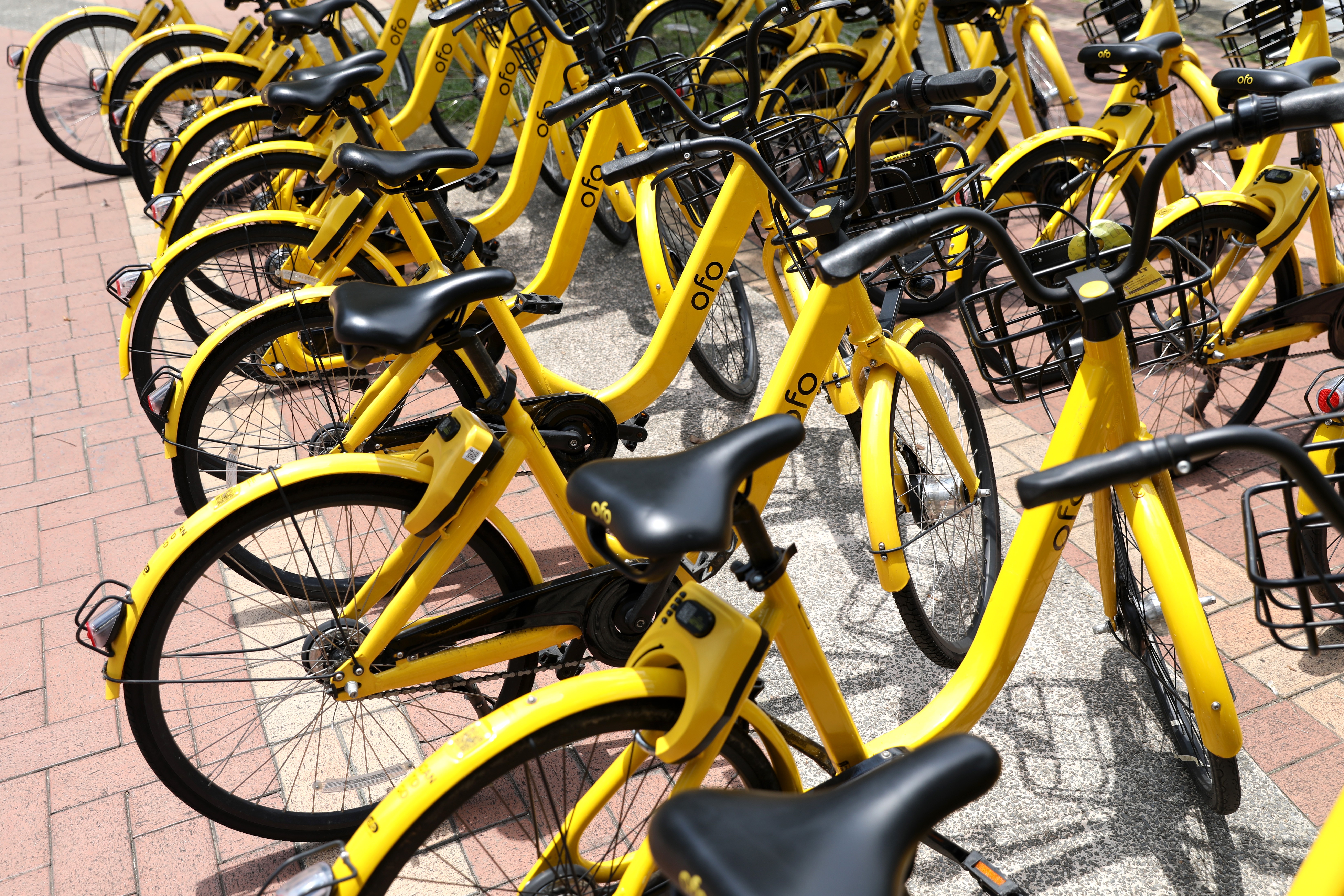 Rows of Ofo bicycles seen parked at a pavement in Singapore. Photo: Bloomberg