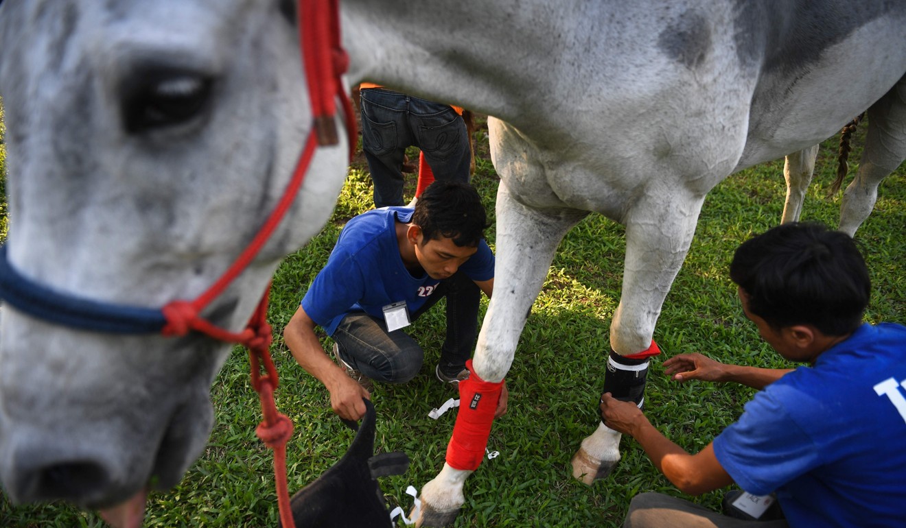 Longines Masters Hong Kong First class flight for jet setting