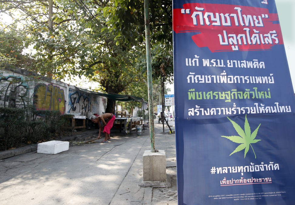 medical marijuana election poster