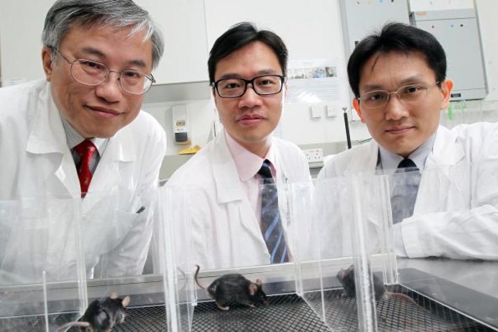 Meet the pain busters: Tsui Siu-lun (left) and Chan Chi-wing (right) from the department of anaesthesiology at Queen Mary Hospital with Professor Cheung Chi-wai from HKU's Laboratory and Clinical Research Institute for Pain.Photo: Dickson Lee