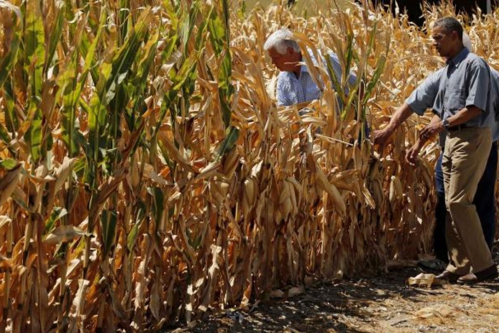 US President Barack Obama visits a drought-ridden corn field. The US faces criticism for using 40 per cent of its corn crop to produce ethanol. Photo: Reuters
