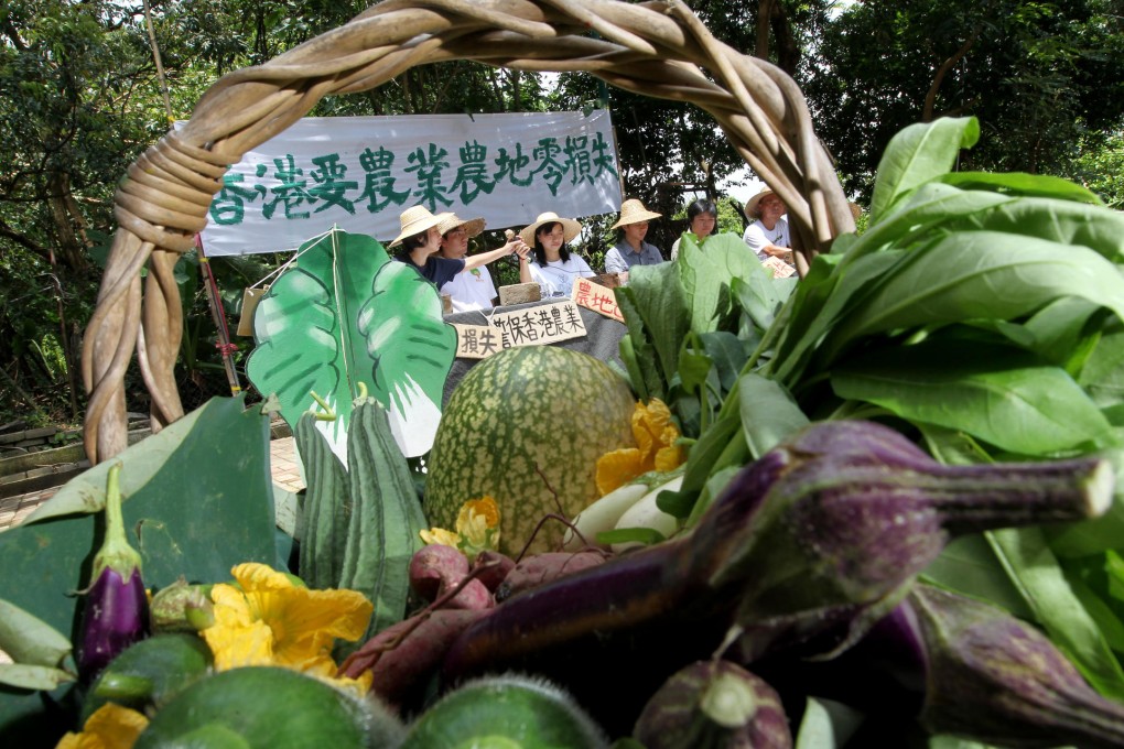 Green groups yesterday urge the government to conserve farmland in the northeastern New Territories. Photo: K.Y. Cheng