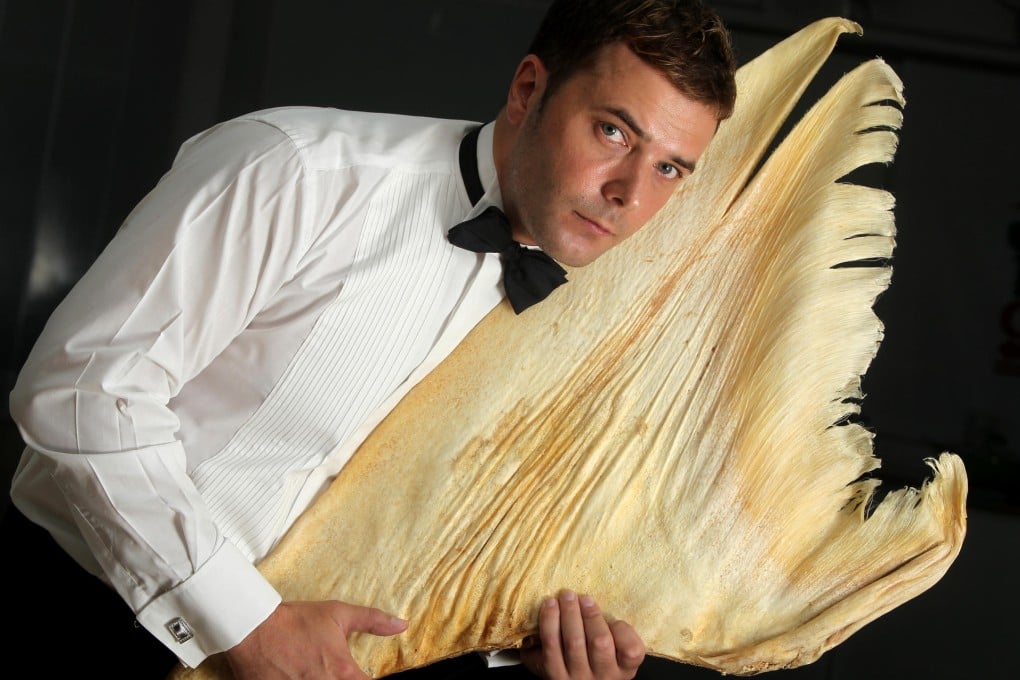 Briton Barry Cox eyes stardom singing Canto-pop, but his songs have bite