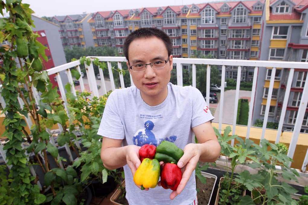 Li Hongwen takes care of the vegetables he grows on the top balcony of his apartment in Beijing, harvesting everything from pumpkins to garlic to eggplants. Balcony mini-farms are a growing trend in mainland cities. Photo: Simon Song