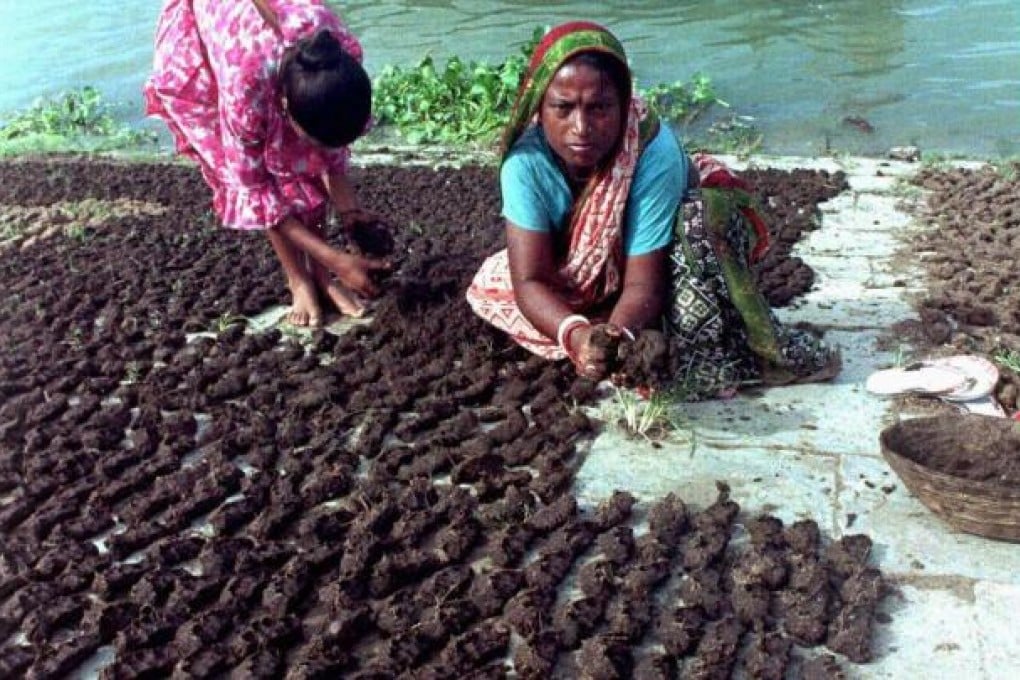 Harvest them for cooking fuel?