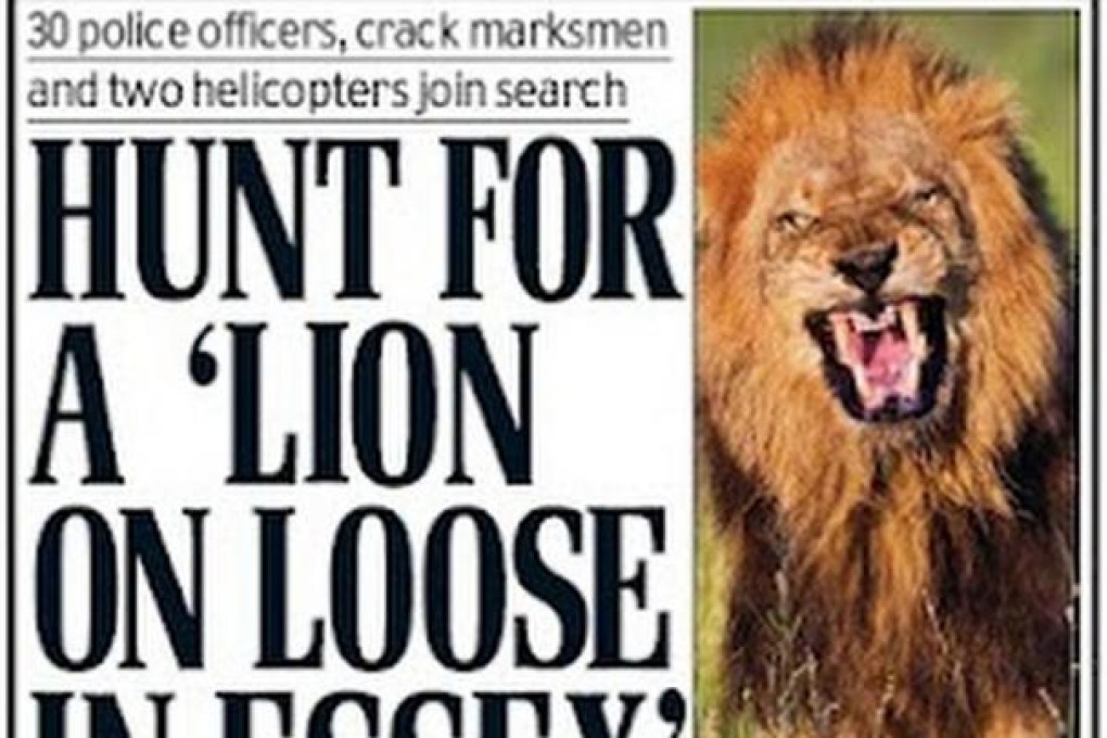 Britain's Daily Mail newspaper leads with the lion sighting.