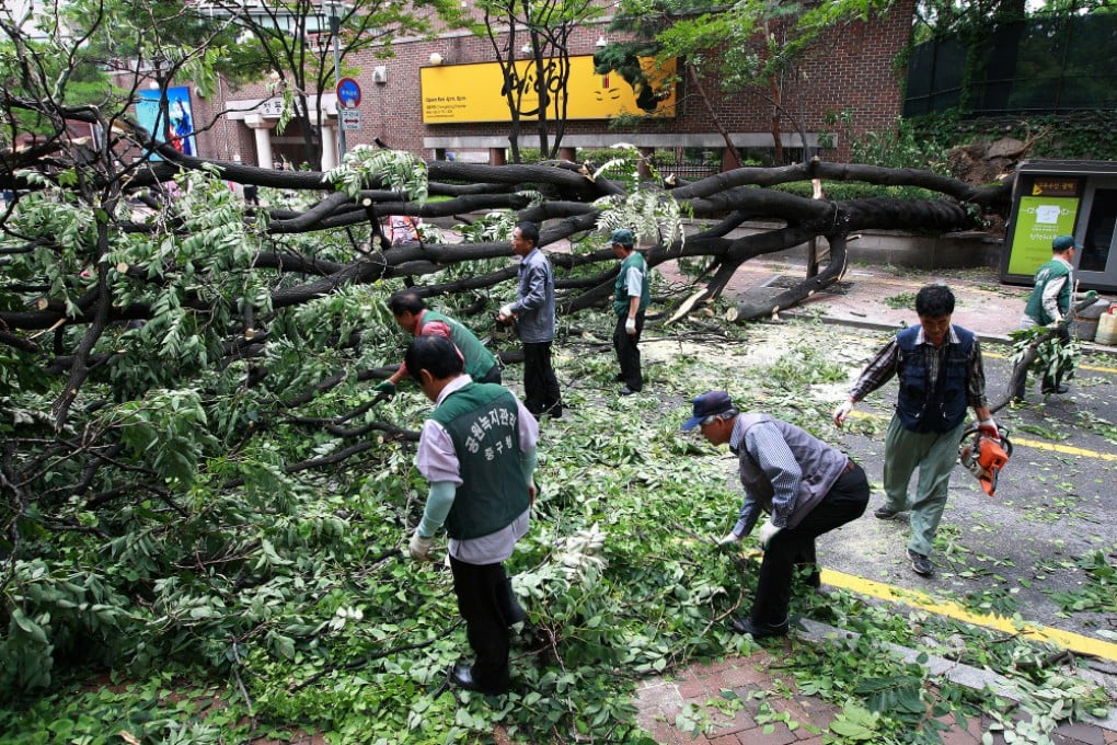 Strong winds from Typhoon Bolaven uproot a tree in Seoul on Tuesday. Photo: Xinhua