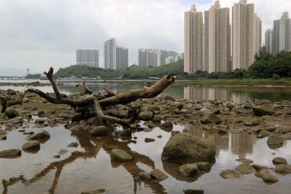 Tung Chung today, seen from the river. Photo: Nora Tam