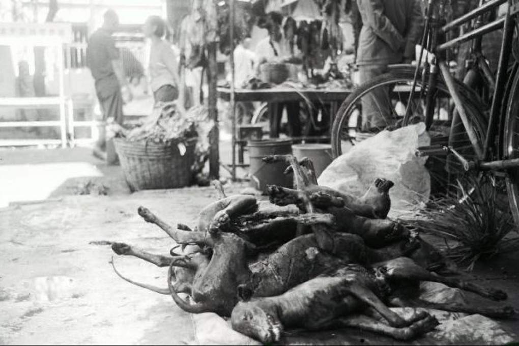Preserved dogs for sale in a market in Guangzhou in the 1980s. Photo: SCMP