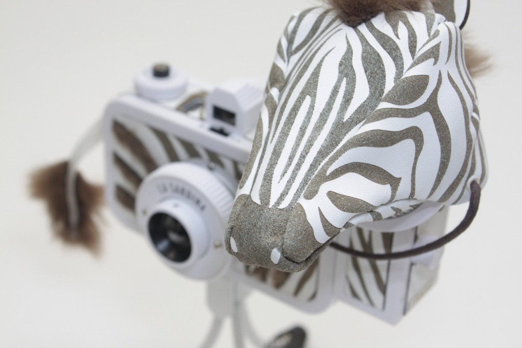 UUendy Lau's zebra camera