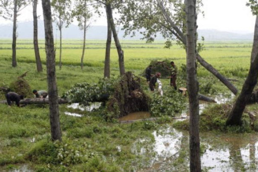 People prepare to remove fallen trees in Pyongyang's Sunan District in North Korea, after a typhoon hit the area. A second typhoon in less than a week is approaching North Korea. Photo: AP