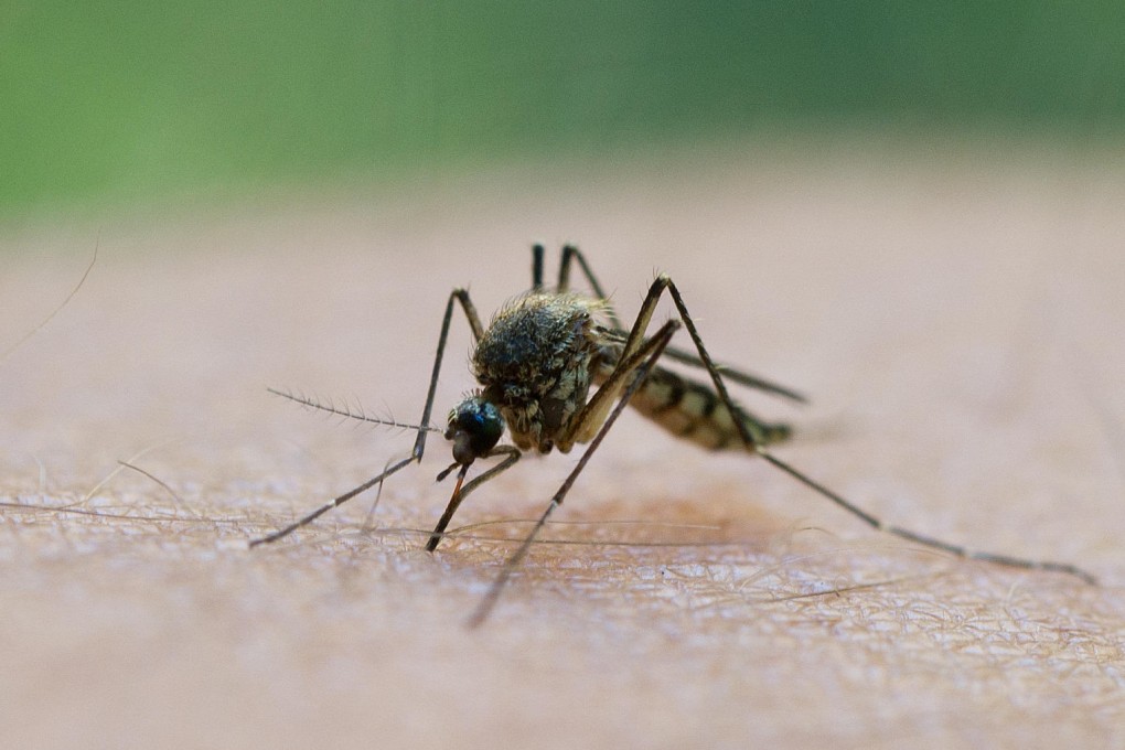 Going fragrance-free protects from mosquito bites