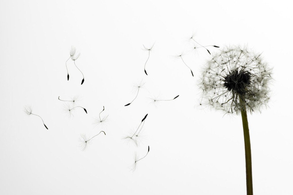 Allergies need to become a medical discipline in Hong Kong