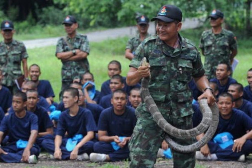A Thai soldier holds a cobra as teenage students take part in Thai army bootcamp training at a military camp in Lopburi province. Photo: AFP.
