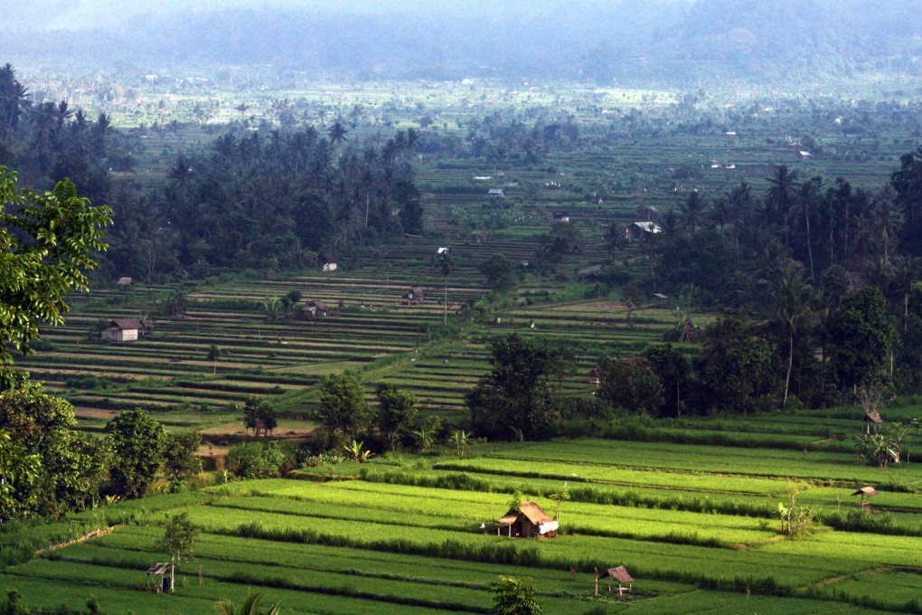 The view from Bali Asli cooking school run by Penelope Williams in Gelumpang village in the northeast of the island