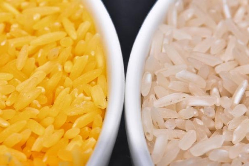 Hunan primary-school pupils were used to study the nutritional value of the genetically modified golden rice strain. Photo: CPS