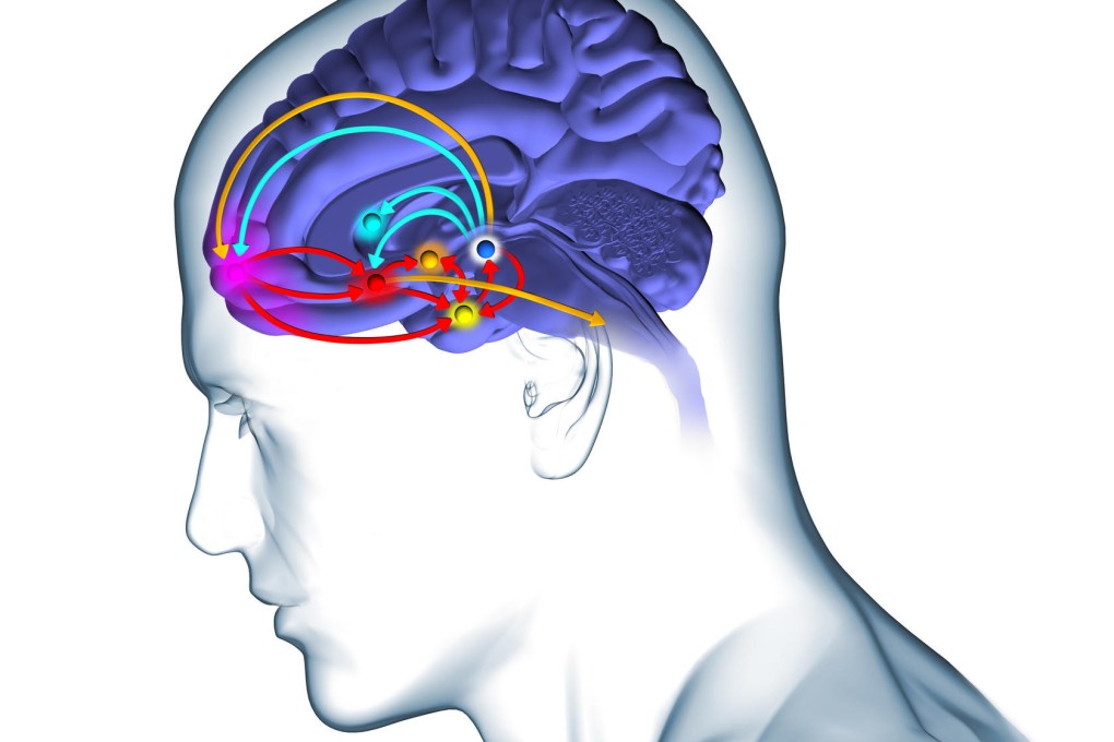 Study finds molecules that help long-term memory