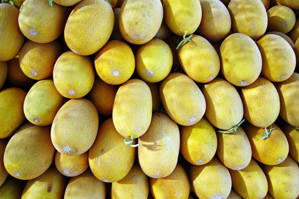 Store-bought melons can't compete. Photo: Cecilie Gamst Berg