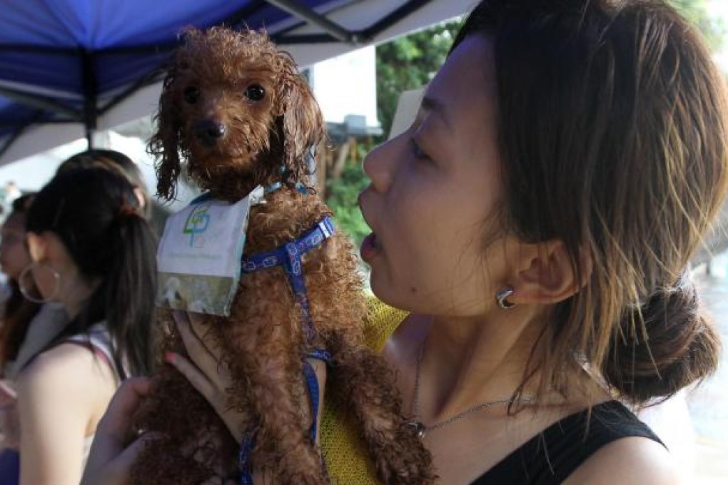 Dog Adoption Day proved a big hit. Photo: Edward Wong