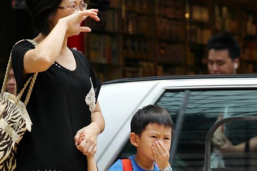 Roadside pollution is a serious problem. Photo: Nora Tam