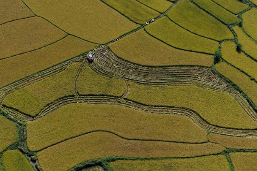 Fuhua Agriculture Technology is trying to raise US$200 million from an IPO in Hong Kong. Photo: AFP