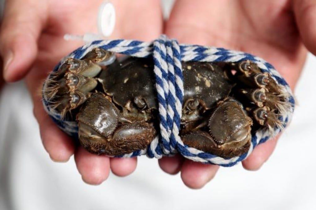 A live hairy crab at Dong Lai Shun. Photos: Sam Tsang, Jonathan Wong