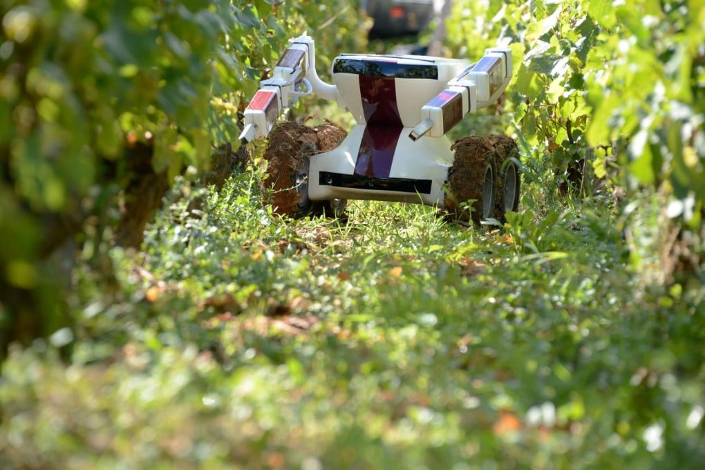 Wall-Ye at work in a vineyard. Photo: AFP