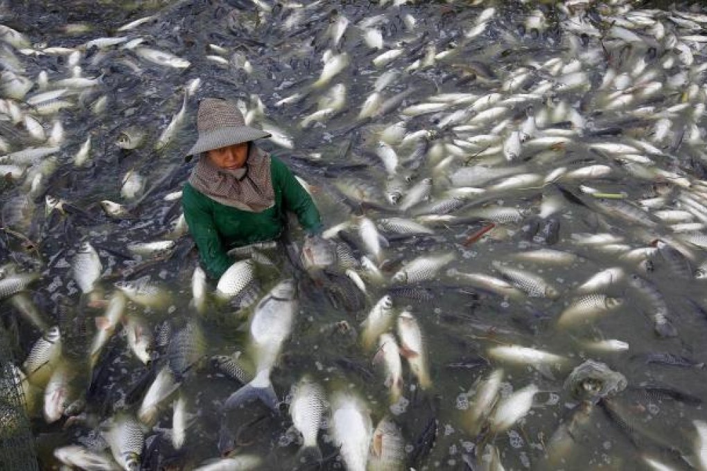 Thai fishermen may be among the exporters in developing countries who will continue to suffer from growth uncertainties in the Asia-Pacific. Photo: Reuters