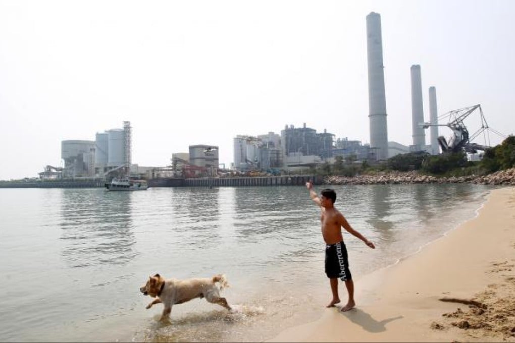 On Power Station Beach, dogs need not be leashed. Photo: Dickson Lee