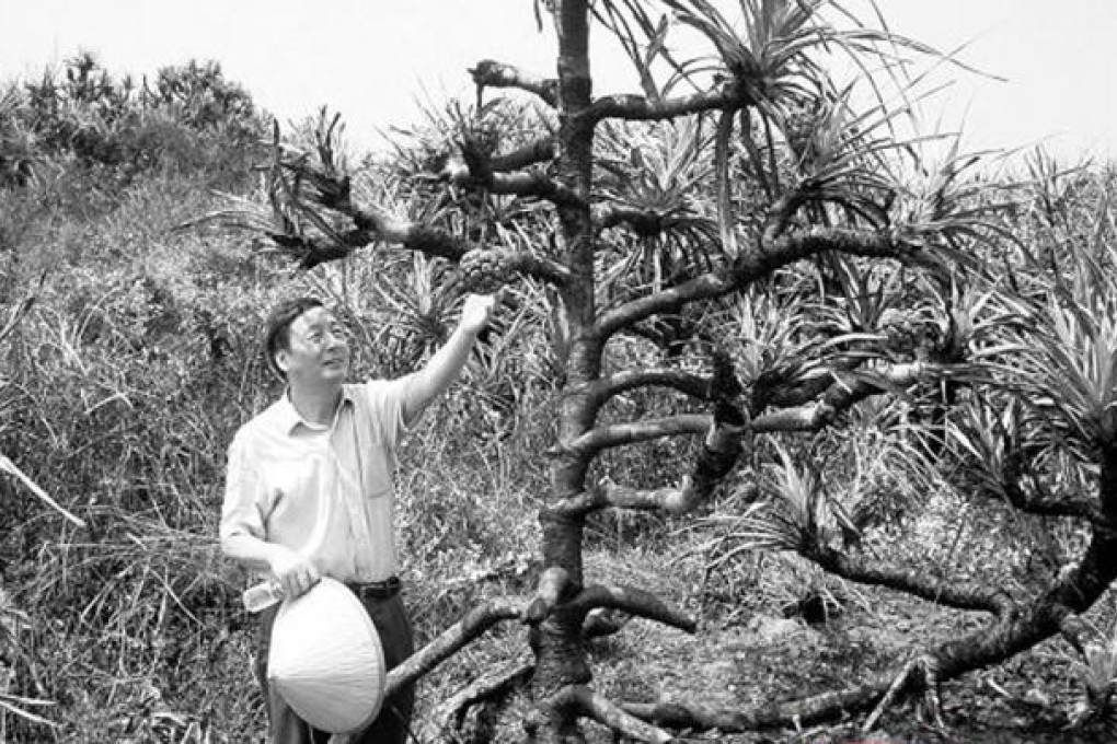 Liu Futang, a retired forestry official, has exposed environmental conflicts. Photo: SCMP