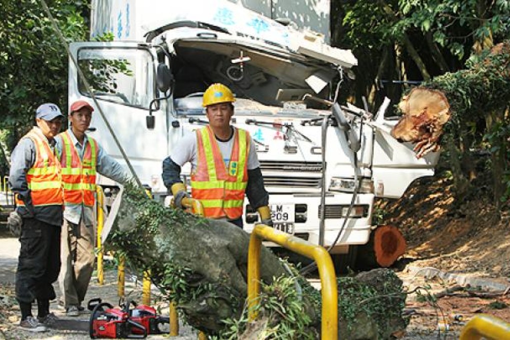 Workers clear the road after a tree collapsed and fell on a truck in Tai Po on Thursday. Photo: Edmond So