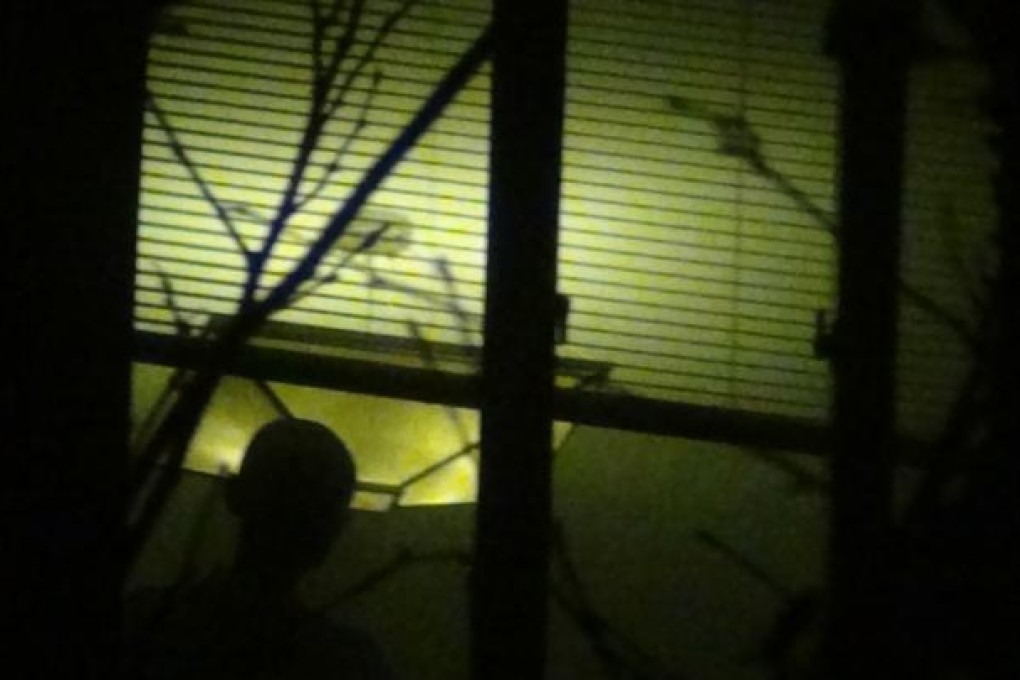 The silhouette of Liu Xia, wife of Chinese Nobel Peace laureate Liu Xiaobo, is seen in this photo taken at her home in Beijing in August 2012. Liu Xia has been under house arrest since October 2010. Photo: Hu Jia