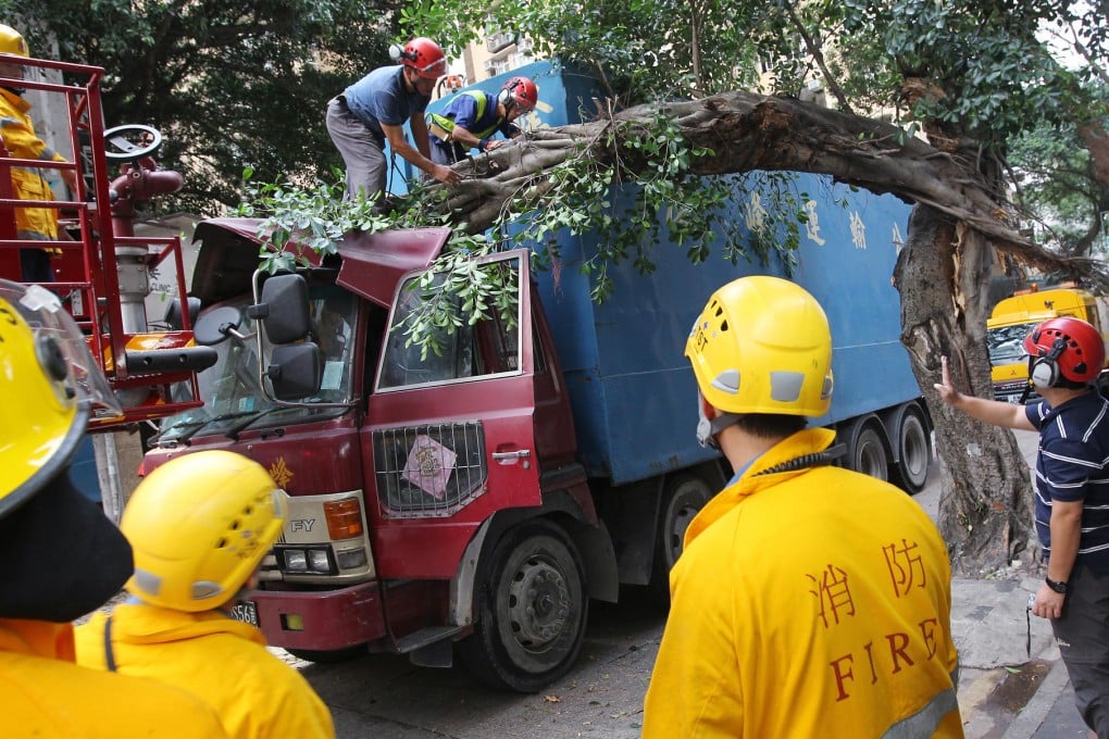 The large branch of a banyan tree which crashed on to a truck in Tak Hing Street, Yau Ma Tei, yesterday afternoon. Photo: Dickson Lee