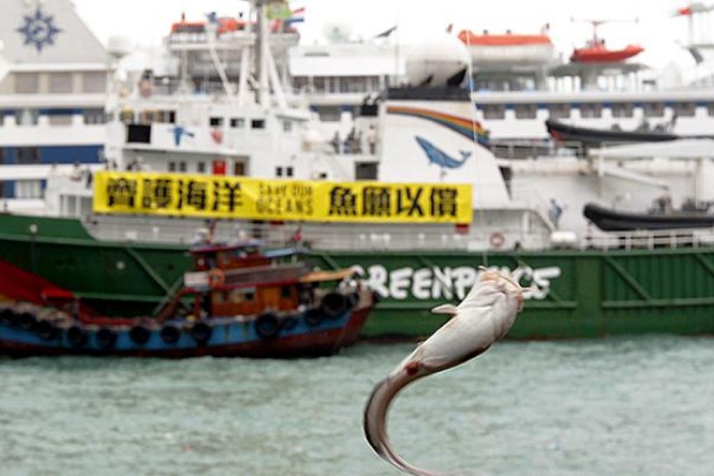 Greenpeace ship Esperanza at China Merchants Wharf. Photo: K. Y. Cheng