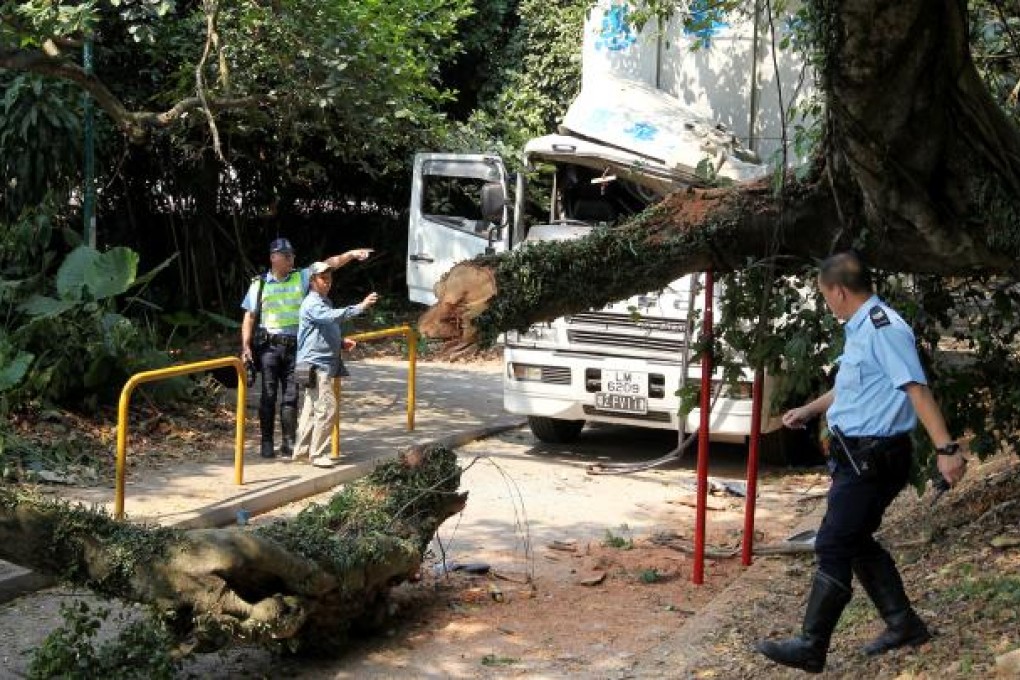 Workers remove the fallen banyan from Lam Kam Road at Tong Min Tsuen in Tai Po that killed a passenger in a truck. Photo: Edmond So