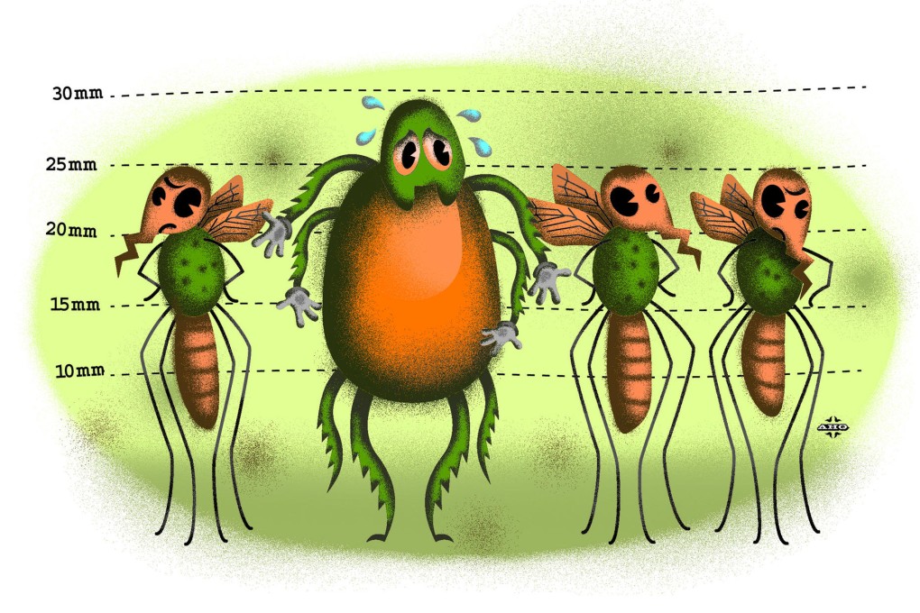 Case History: Tick induces malaria-like symptoms