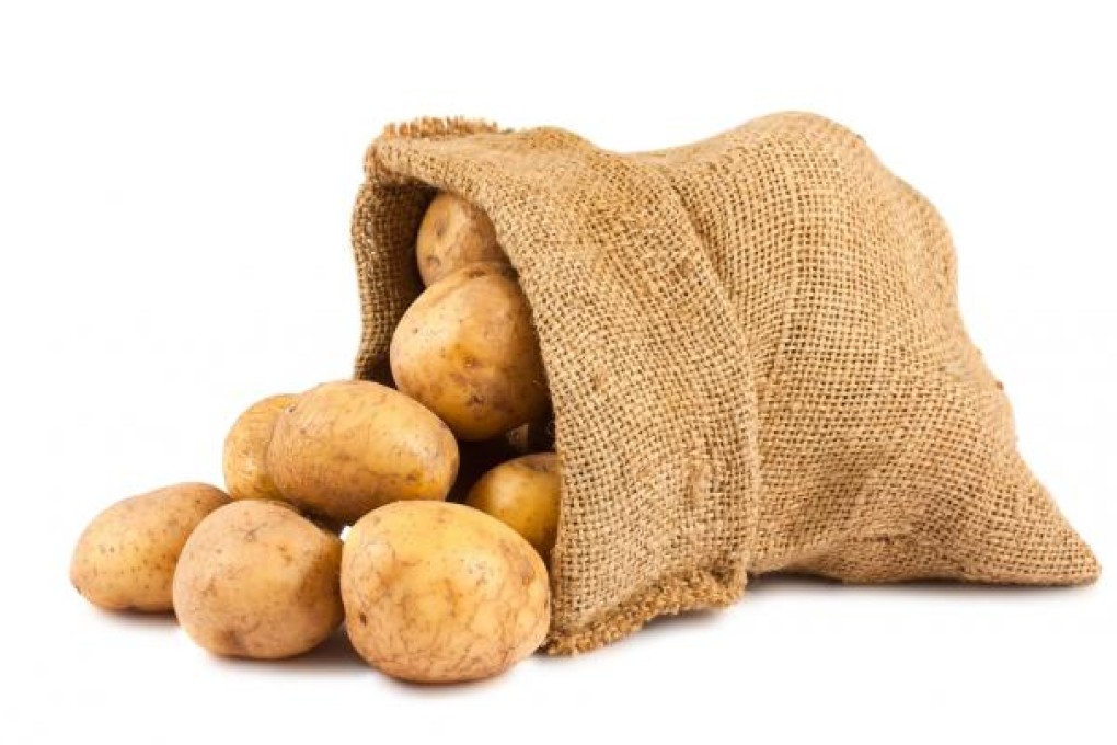 Photo: Shutterstock