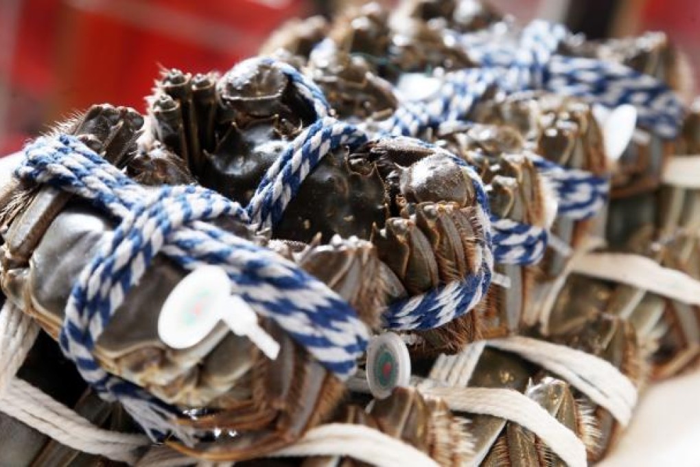 Hairy crabs. Photo: Sam Tsang