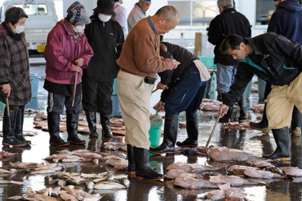Brokers check fish at the Hirakata Fish Market in Kitaibaraki, where contamination is still a huge concern. Photo: AFP
