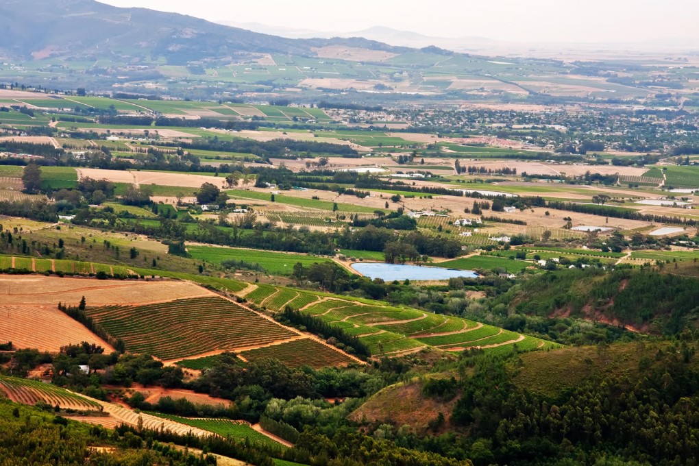 Wellington district is known as the cradle of South African wine. Photo: AFP