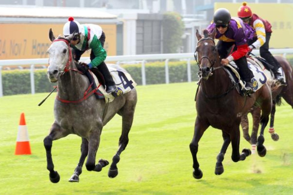 Club policies do not allow the best horses in town a turf trial to prepare for the coming races.