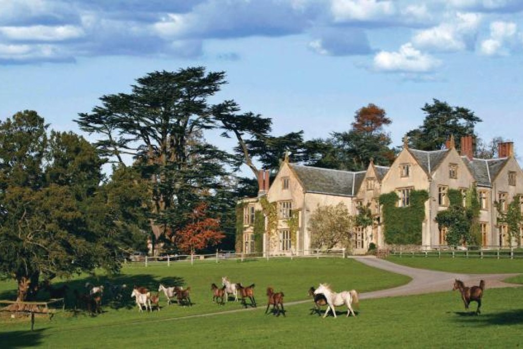 Arabian horses roam the grounds of Combe House in southwest England.