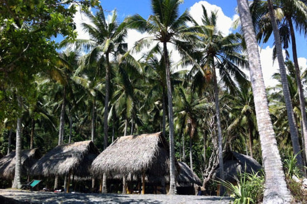 Thatched huts amid palm trees on Nusa Penida.Photo: Samantha Brown