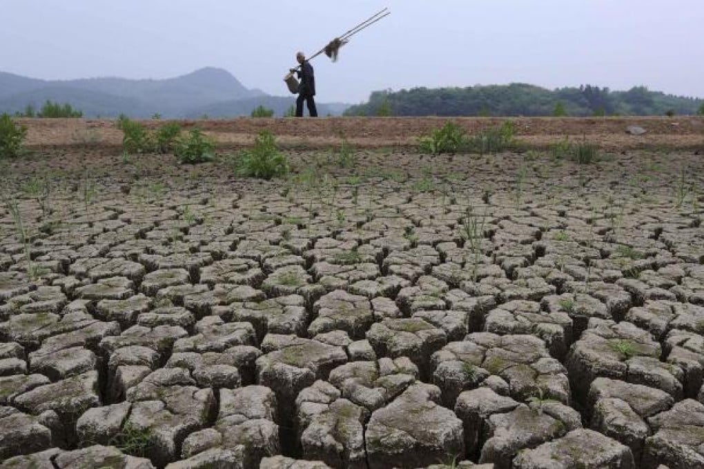 One of the worst droughts in 50 years has almost dried up Guihu Lake in Anhui. Photo: Reuters