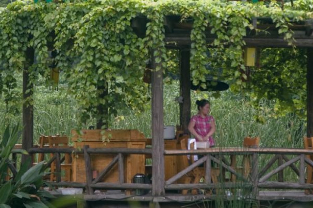 Green Tea Restaurant is inexpensive and wildly popular.